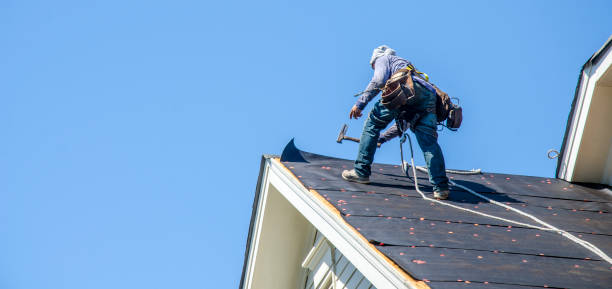 Best Roof Gutter Cleaning  in Lake Como, NJ